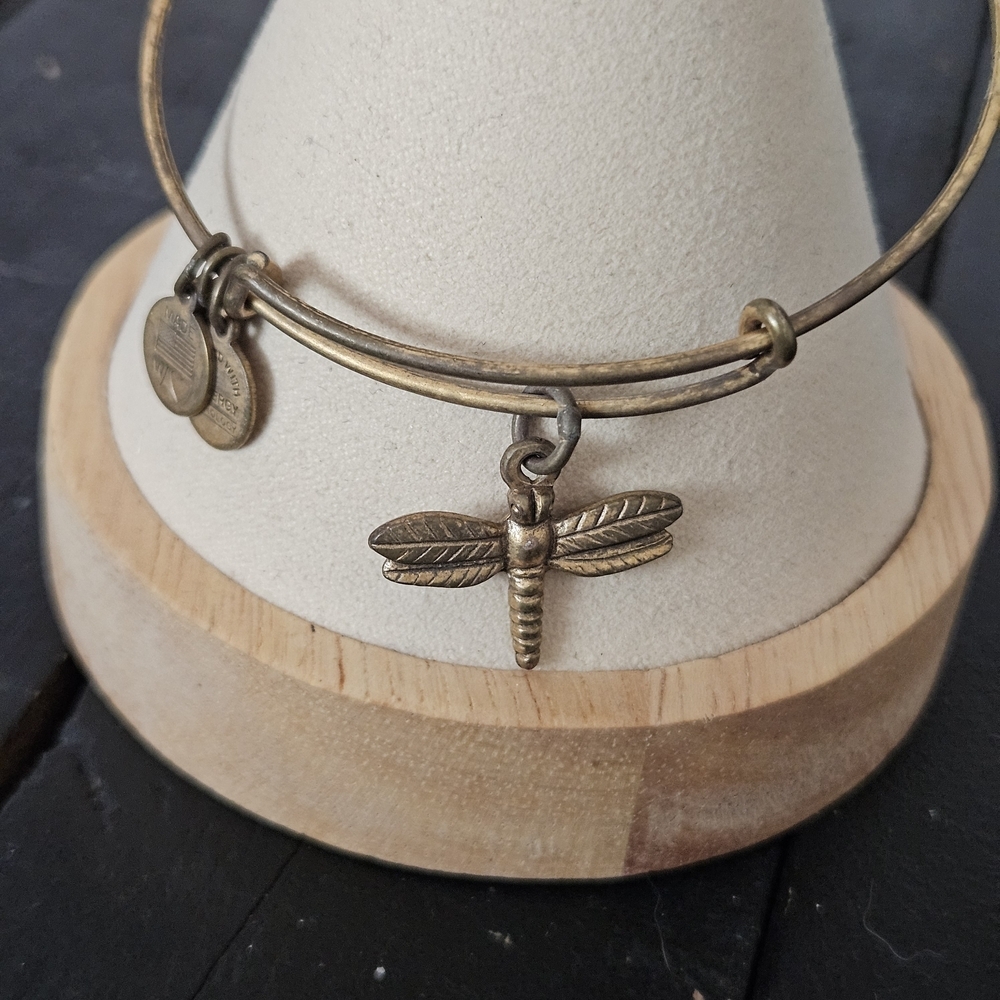 Alex and Ani Gold Dragonfly Charm Bracelet